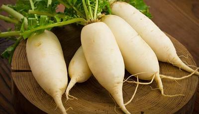 Củ cải trắng giúp ngăn ngừa bệnh ung thư dạ dày