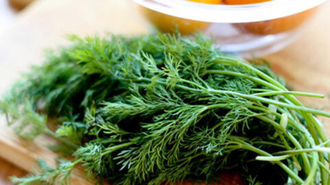 Tác dụng ít ai biết của cây thì là