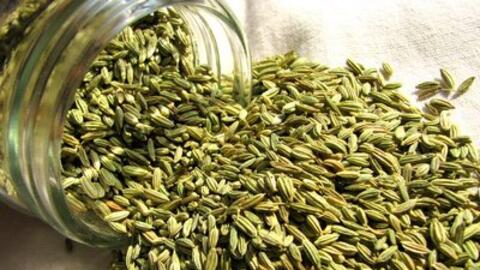 Bạn có biết trà thì là và tác dụng của nó đối với phụ nữ?