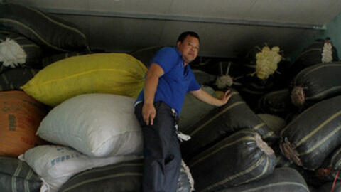 Những cây cỏ thần kỳ trị bệnh xương khớp của ông lang Giáy