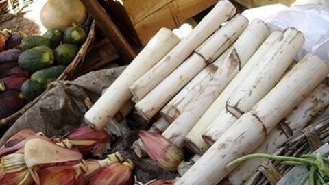 Lợi ích sức khỏe không ngờ của thân cây chuối