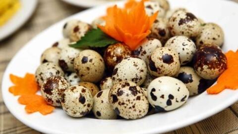 Những tác dụng của trứng cút có thể bạn chưa biết