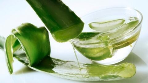Thanh nhiệt giải độc với bài thuốc từ cây lô hội
