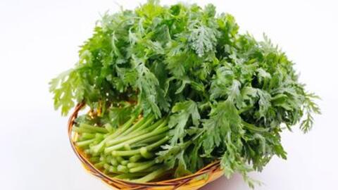 Bài thuốc dân gian từ rau cúc chữa đau đầu kinh niên