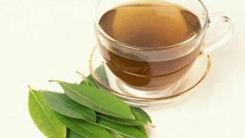 Những loại lá trị bệnh viêm đại tràng mạn tính