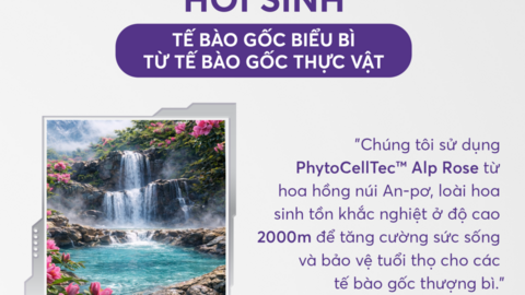 Skin Priming – Trẻ hóa bắt đầu từ việc thấu hiểu “nguồn sống” của da