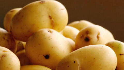 Tác dụng chữa bệnh bất ngờ, hiệu quả từ khoai tây