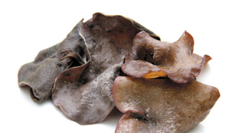 Mộc nhĩ đen - vị thuốc quen thuộc của mọi gia đình