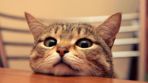 Ngồi lâu một chỗ với những tác hại khó lường