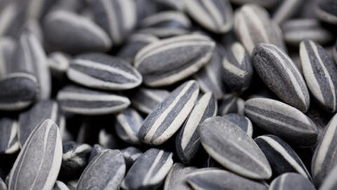 Cây hướng dương chữa - mẹo hay của mọi nhà