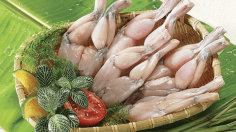Món ăn bài thuốc từ ếch chữa bệnh hiệu quả