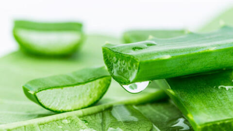 Những cây thuốc hay ngay vườn nhà           ﻿