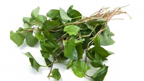 Diếp cá - nguyên liệu làm đẹp tự nhiên