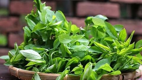 Những lưu ý không phải ai cũng biết khi ăn rau ngót
