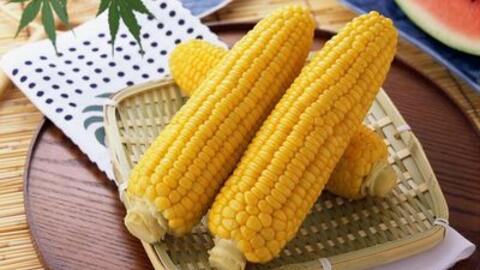 Chữa bệnh gan nhiễm mỡ với những bài thuốc đơn giản