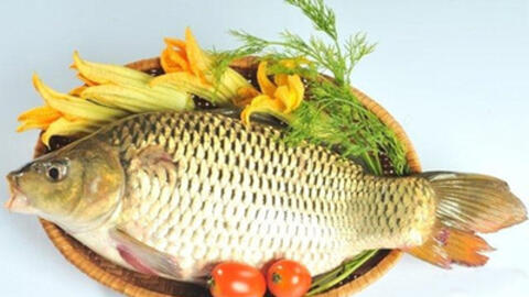 Cá chép chữa bệnh qua những bài thuốc hay