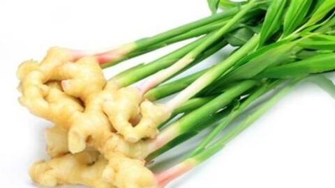 Thảo mộc chống ung thư - đơn giản mà hiệu quả