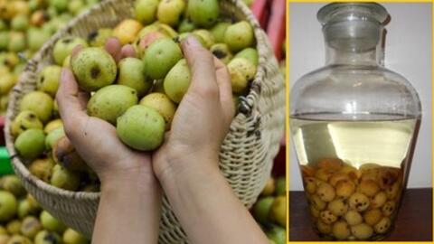 Những tác dụng tuyệt vời từ táo mèo