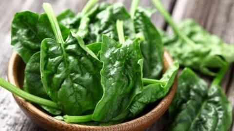 Top 8 thực phẩm giải quyết nhanh bệnh trĩ bạn nên biết