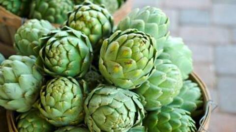 Bông Atiso có tác dụng hạ mỡ trong máu