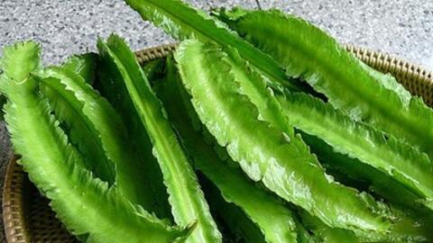 Bài thuốc trị đau dạ dày dứt điểm từ đậu rồng