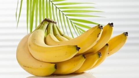 Chuối tiêu - loại quả tốt cho người bệnh gan