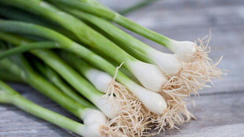 Những bài thuốc hay từ hành mà bạn nên biết