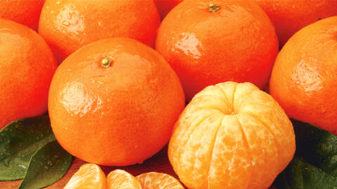 Lợi ích tuyệt vời từ vị thuốc quý - cây quýt