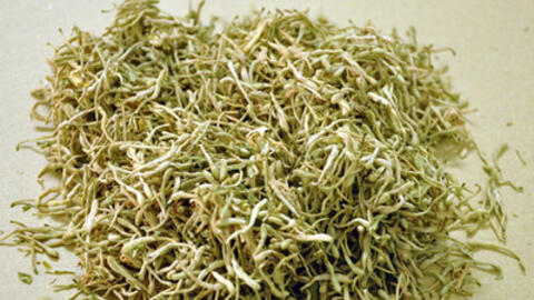 Thảo mộc hay, dưỡng da tốt