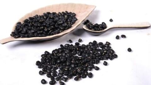 Đậu đen - bài thuốc chữa bệnh đau lưng, giải độc