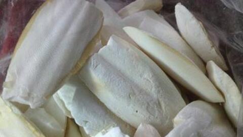 Cách chế biến vị thuốc hay đơn giản từ mai mực