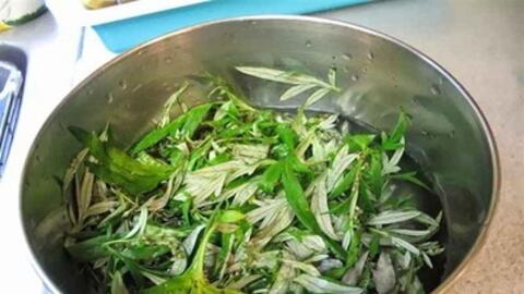 Trứng gà, gừng, ngải cứu - sự kết hợp hoàn hảo cho chị em phụ nữ