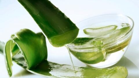 Thanh nhiệt giải độc với bài thuốc từ cây lô hội