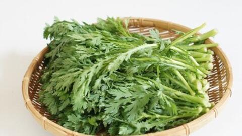 Trị bệnh đau mắt đỏ từ vị thuốc dân gian