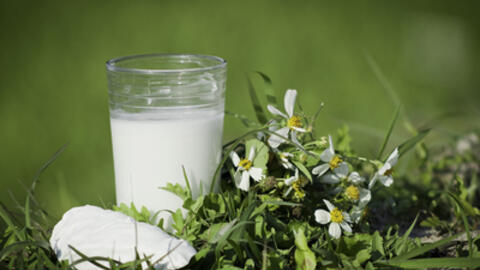 Những loại cây có tác dụng thanh nhiệt, giải độc tuyệt vời