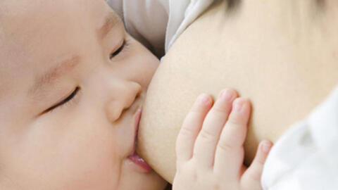 Món ăn bài thuốc giúp thông tuyến sữa