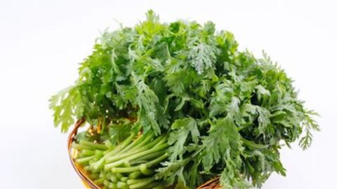 Bài thuốc dân gian từ rau cúc chữa đau đầu kinh niên