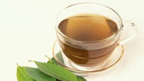 Những loại lá trị bệnh viêm đại tràng mạn tính