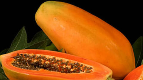 Những bài thuốc thiên nhiên hay giúp giải độc gan