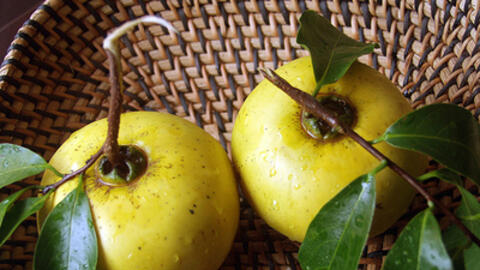 Bài thuốc trị nám da, mụn trứng cá từ cổ phương