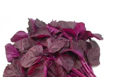 Rau dền – món ăn dân dã, vị thuốc quý