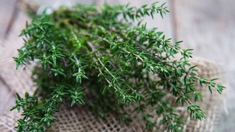 Một số bài thuốc Đông y chữa xơ cứng gan