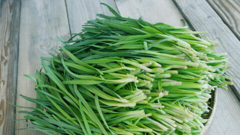 Những bài thuốc tuyệt vời từ cây hẹ