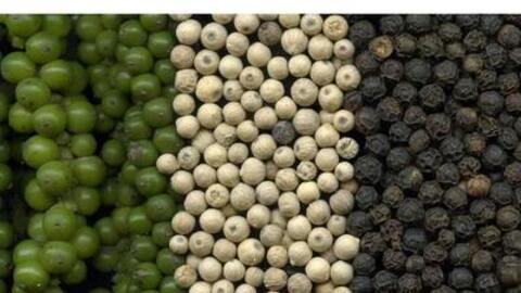 Hồ tiêu tốt cho đường tiêu hóa