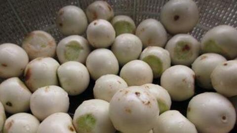 Cà pháo giúp điều trị bệnh ngoài da