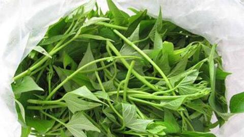 Tác dụng tuyệt vời rau khoai lang bạn nên biết