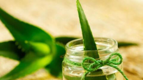 Siro Nha Đam có tác dụng ngăn ngừa ung thư