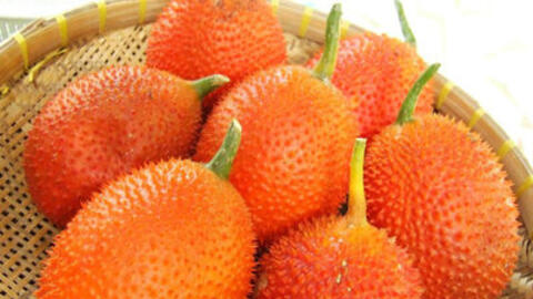 Tác dụng thần kỳ của gấc đối với sức khỏe của con người