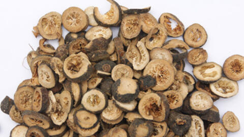 Dùng cây họ cam làm thuốc, bài thuốc đơn giản dễ làm