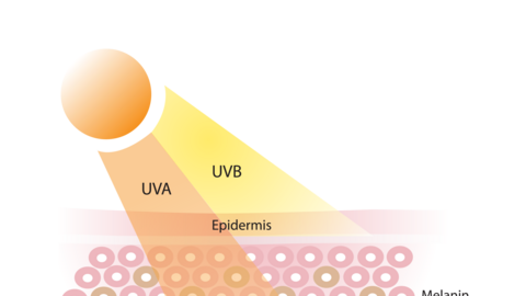 TPBVSK Codeage Liposomal Glutathione: Bí quyết dưỡng da sáng khỏe bất chấp nắng hè